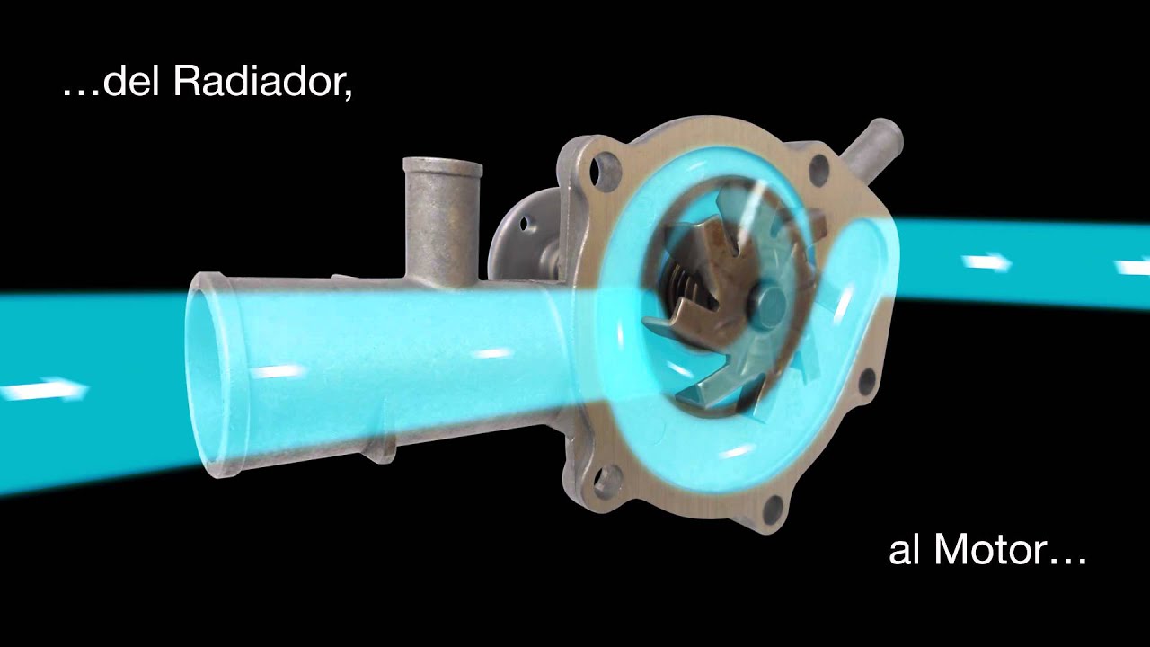 bomba de agua de un motor