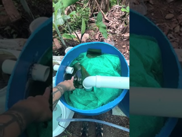 bomba de agua para estanque de peces