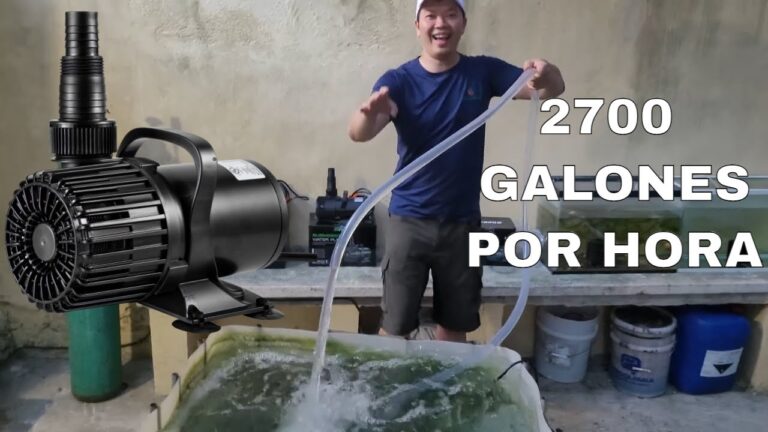 bombas de agua para estanques pequeños