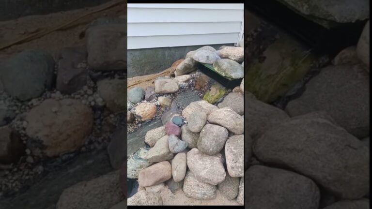 bombas de agua solares para estanques