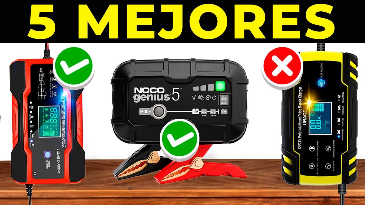 cargador de batería 12 y 24 volt