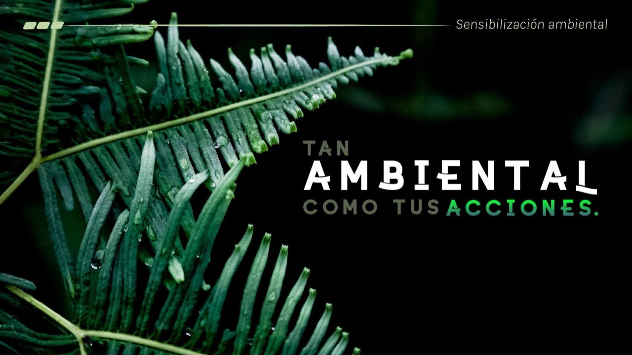 como afecta la energia electrica al medio ambiente