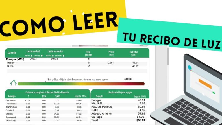 como leer el recibo de luz