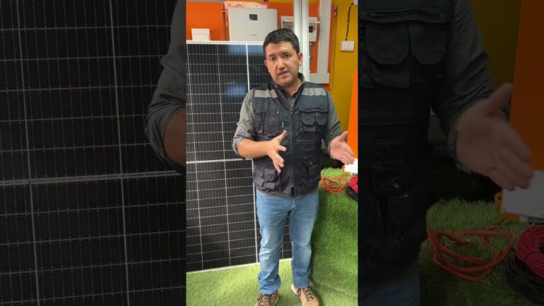 cuantos paneles necesito para un inversor de 3000 watts