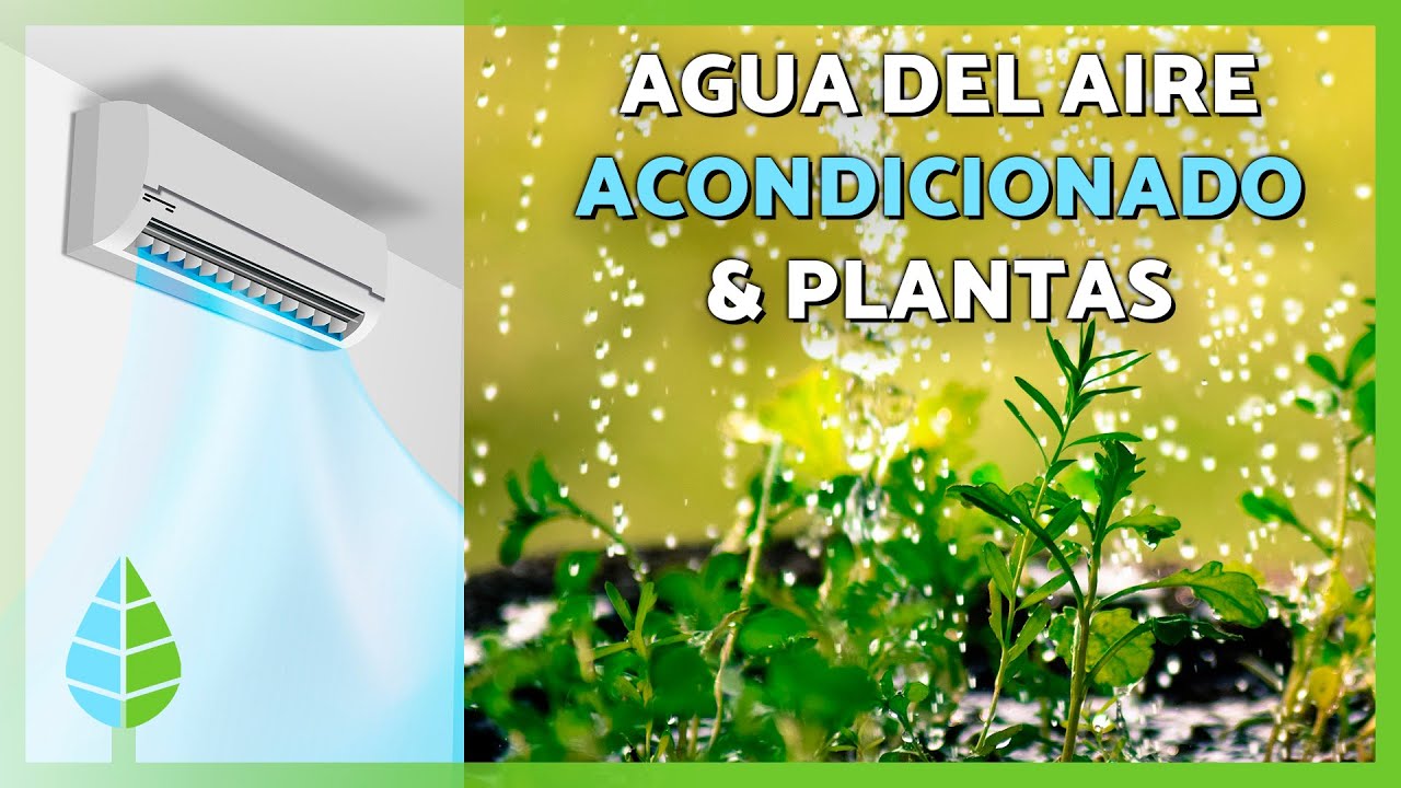 el agua de los aires acondicionados sirve para las plantas
