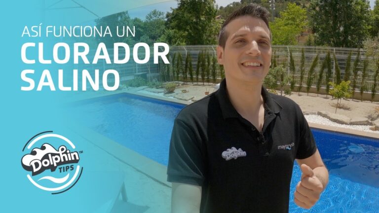 esquema depuradora piscina con clorador salino