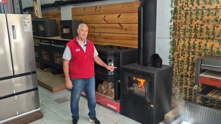 estufas de leña para 100 m2