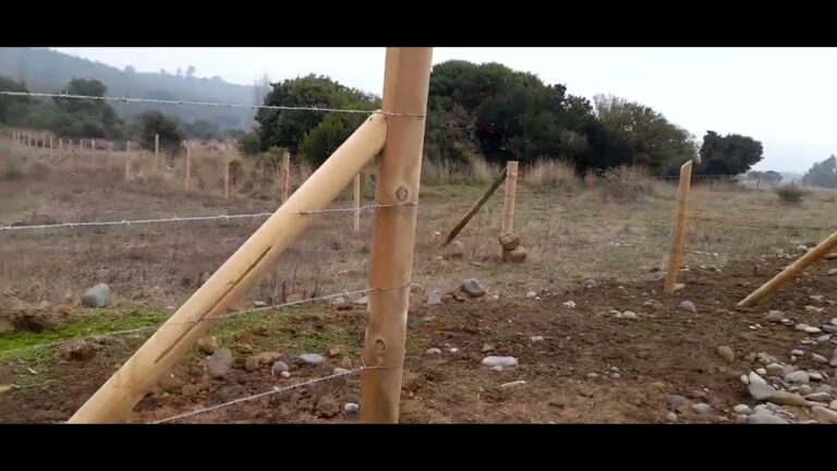 parcelas baratas con agua y luz