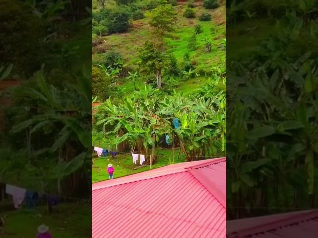 parcelas en venta cerca de mi