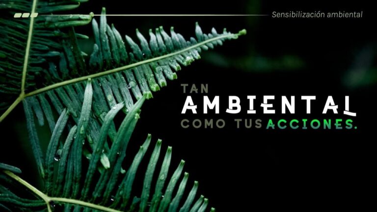 porque la electricidad contamina el medio ambiente