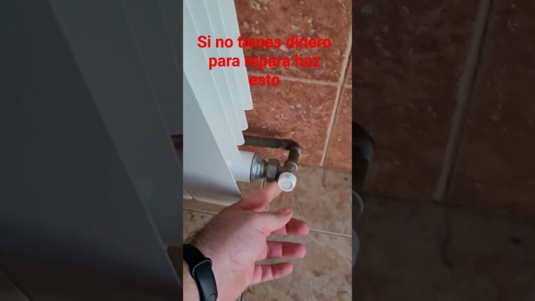 que hacer si un radiador pierde agua