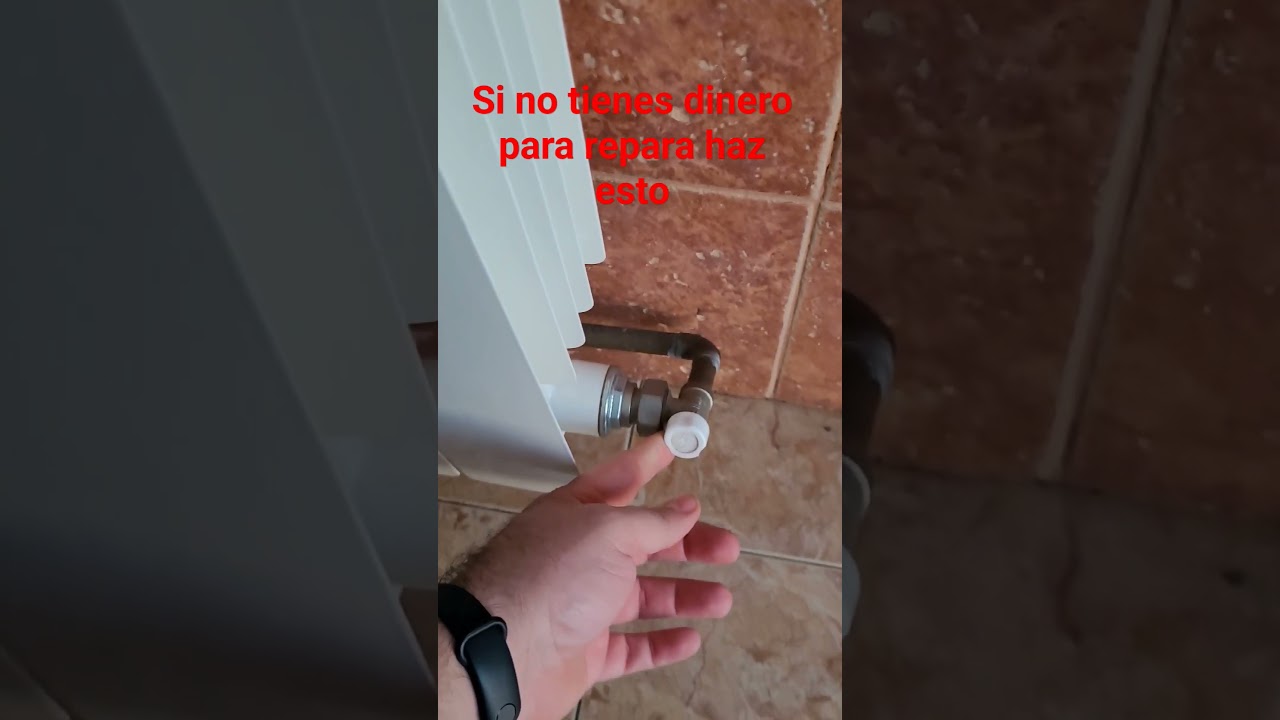 que hacer si un radiador pierde agua