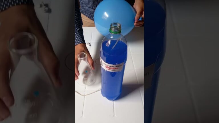 salir a la superficie de un liquido