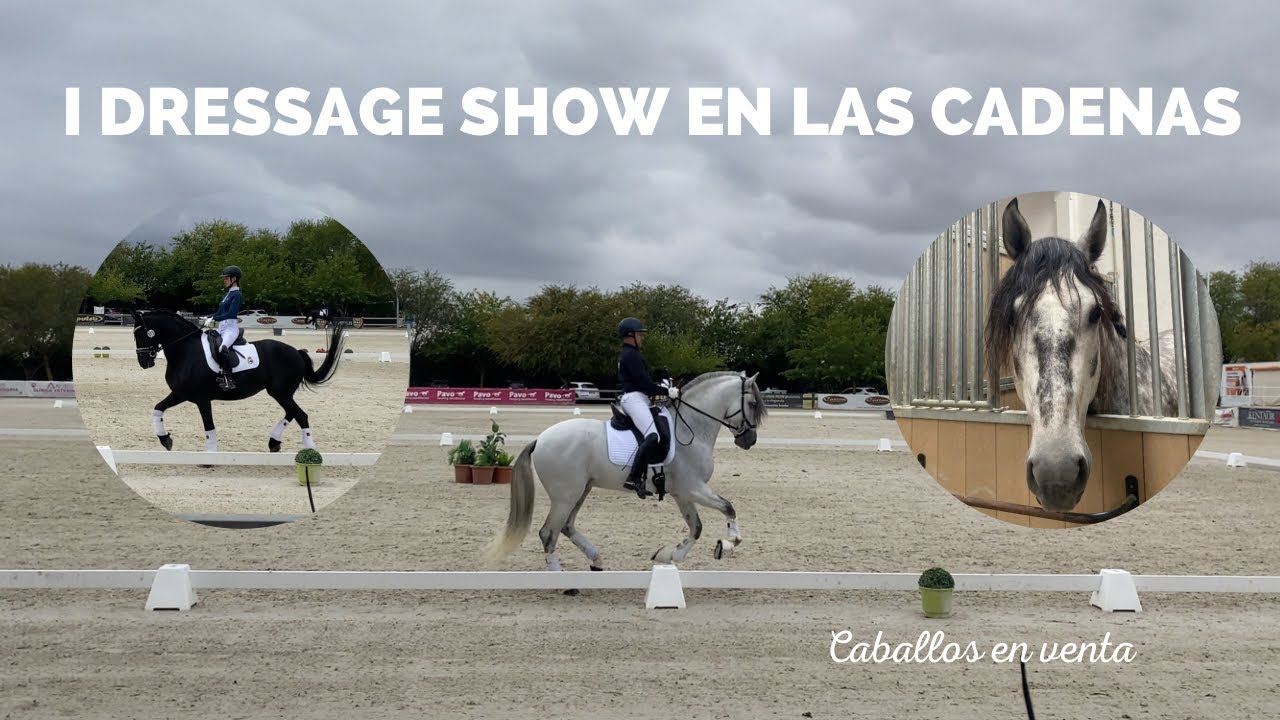 sitios para montar a caballo cerca de mi