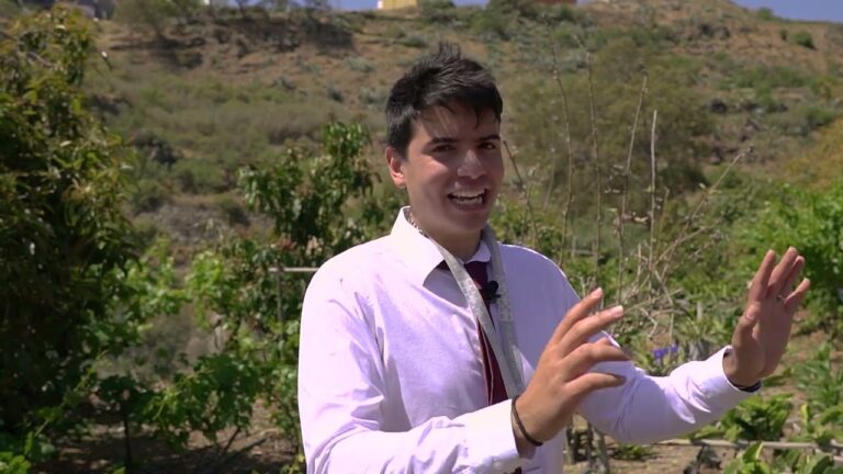 terreno en venta en gran canaria