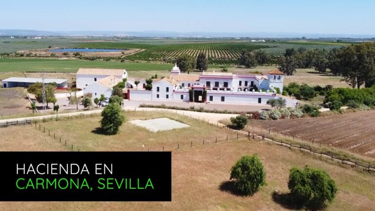 venta de caballos en sevilla y huelva